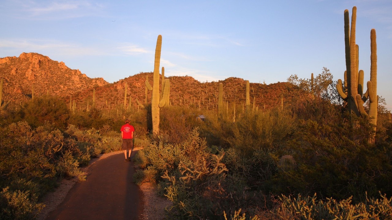 The Desert Discovery Nature Trail in Saguaro National Park West is a great place to enjoy the sunset.