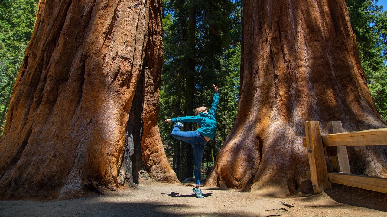 “Among the trees and fresh air, I feel lucky to be able to explore places like Sequoia National Park,” said the author.