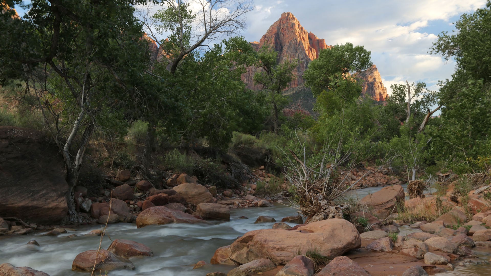 Road Trip to Zion National Park for Artistic Inspiration