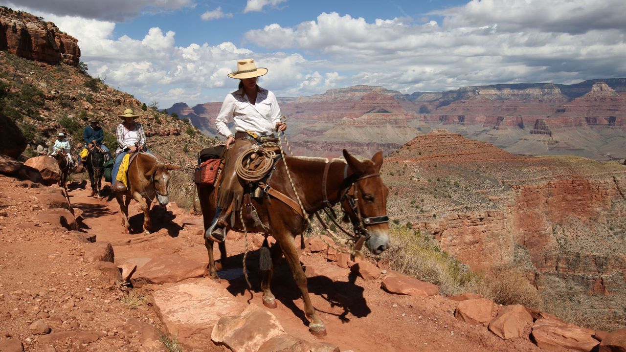 Hiking to the Bottom of the Grand Canyon - Pursuits with Enterprise ...