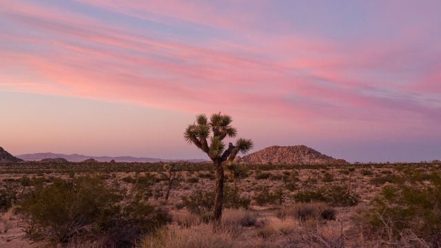 Drive to a National or State Park Near San Francisco | Enterprise Rent