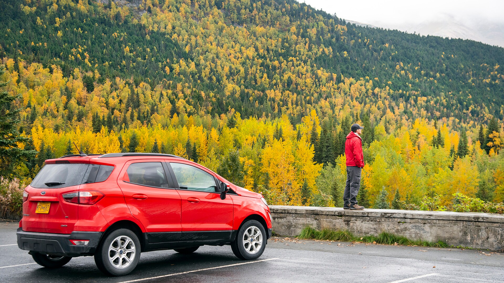 Kenai Fjords National Park Pursuits with Enterprise Enterprise Rent