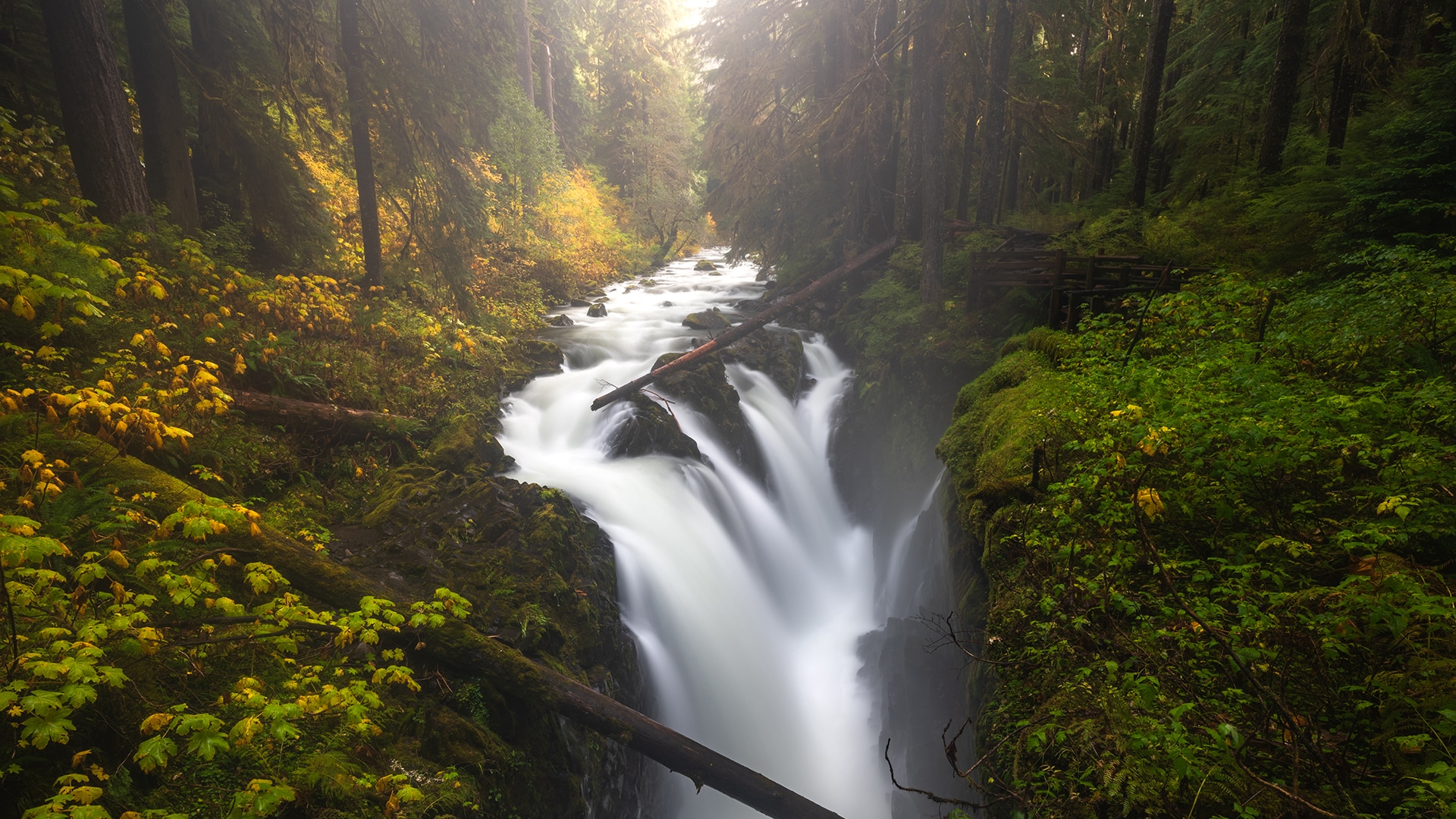 Visiting Washington's Olympic National Park in the Offseason - Pursuits ...