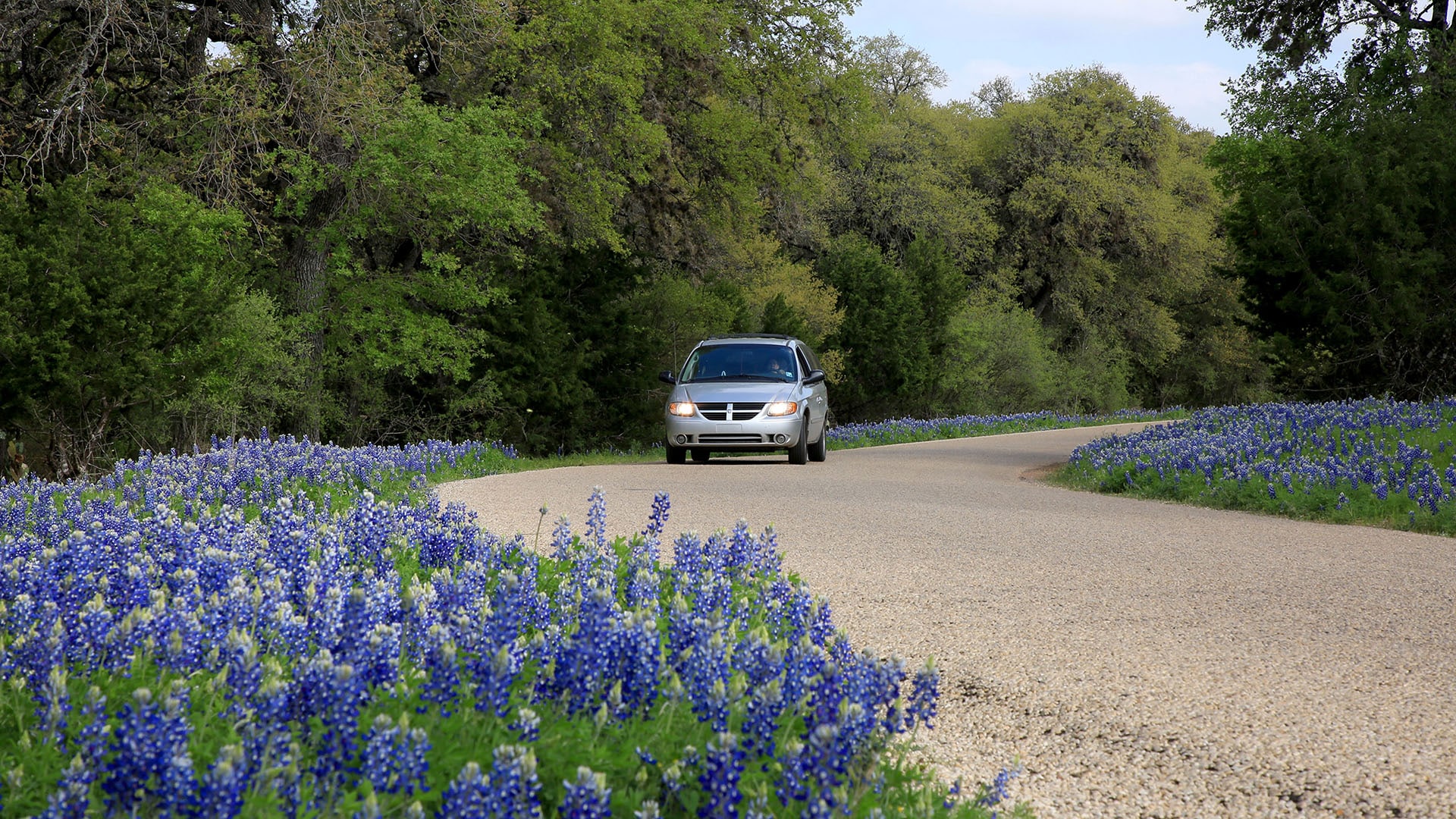 Road Trip To See Texas Bluebonnets - Pursuits With Enterprise ...