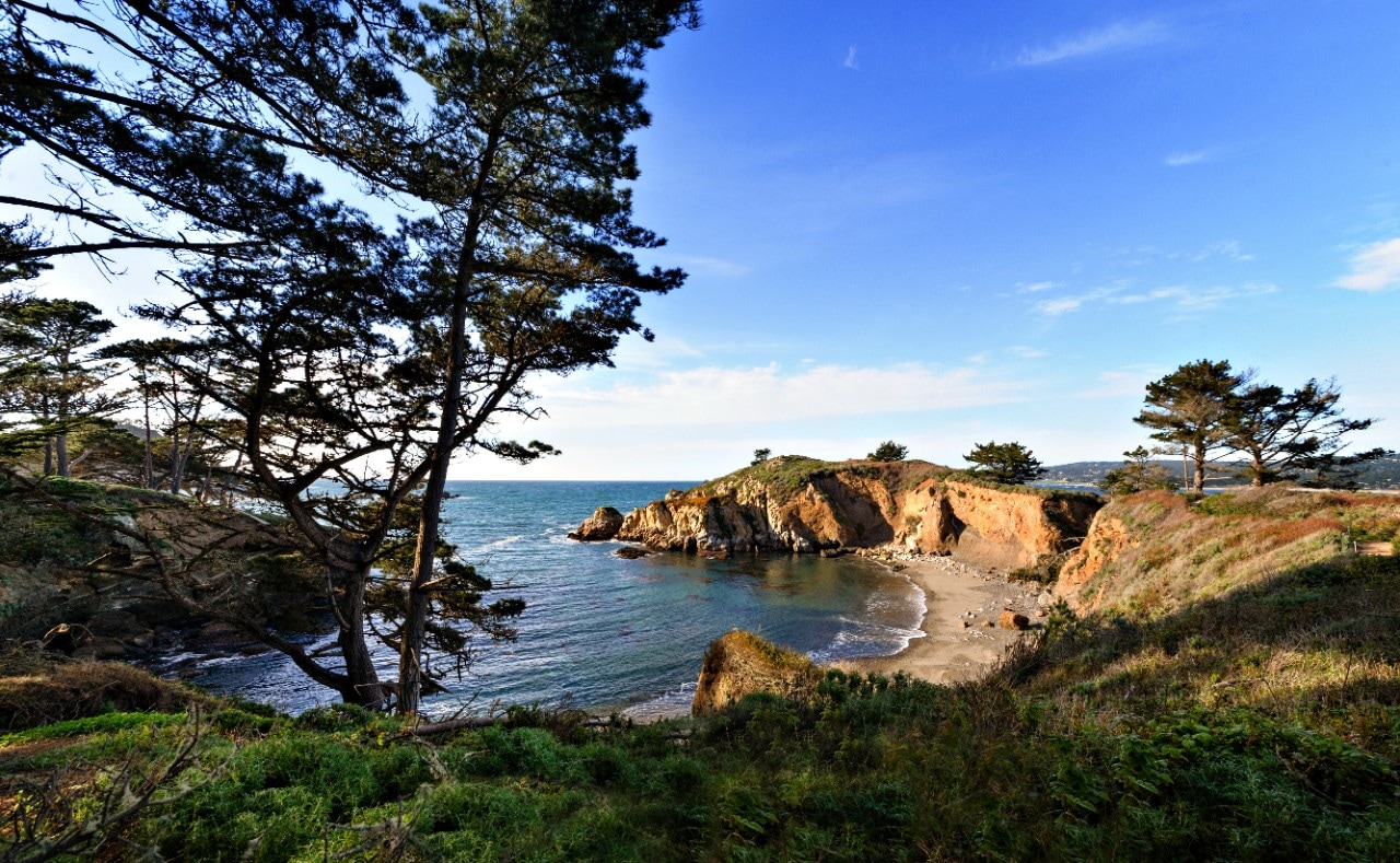 Point Lobos State Natural Reserve